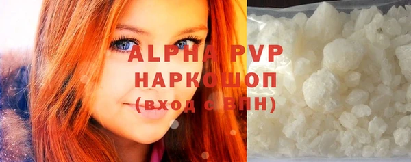 индика Каменногорск