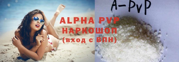 индика Каменногорск