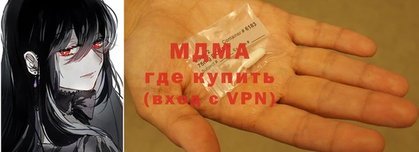 индика Каменногорск