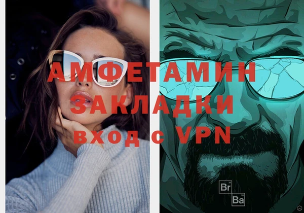 индика Каменногорск