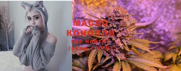 индика Каменногорск