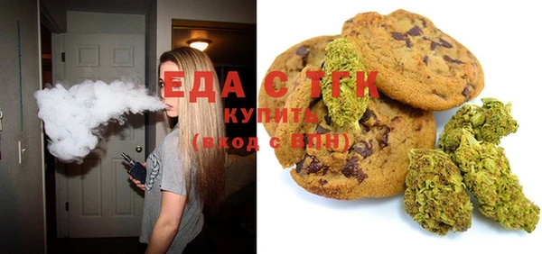 индика Каменногорск