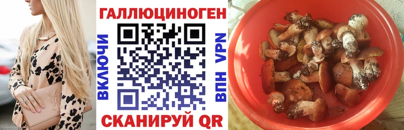 Псилоцибиновые грибы Psilocybine cubensis  ОМГ ОМГ ССЫЛКА  даркнет состав  Арзамас 