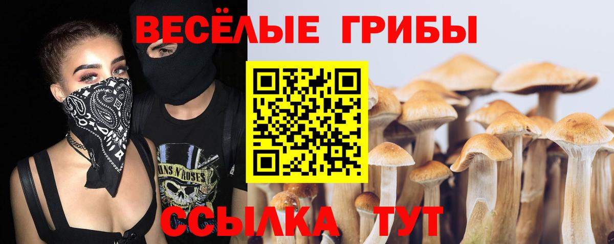 Псилоцибиновые грибы прущие грибы Арзамас